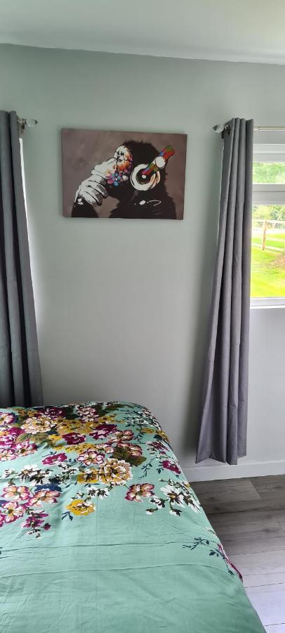 Forget-Me-Not 114 Woodlands Park New Quay Apartamento New Quay  Exterior foto
