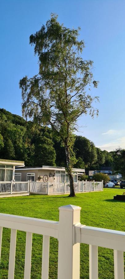 Forget-Me-Not 114 Woodlands Park New Quay Apartamento New Quay  Exterior foto